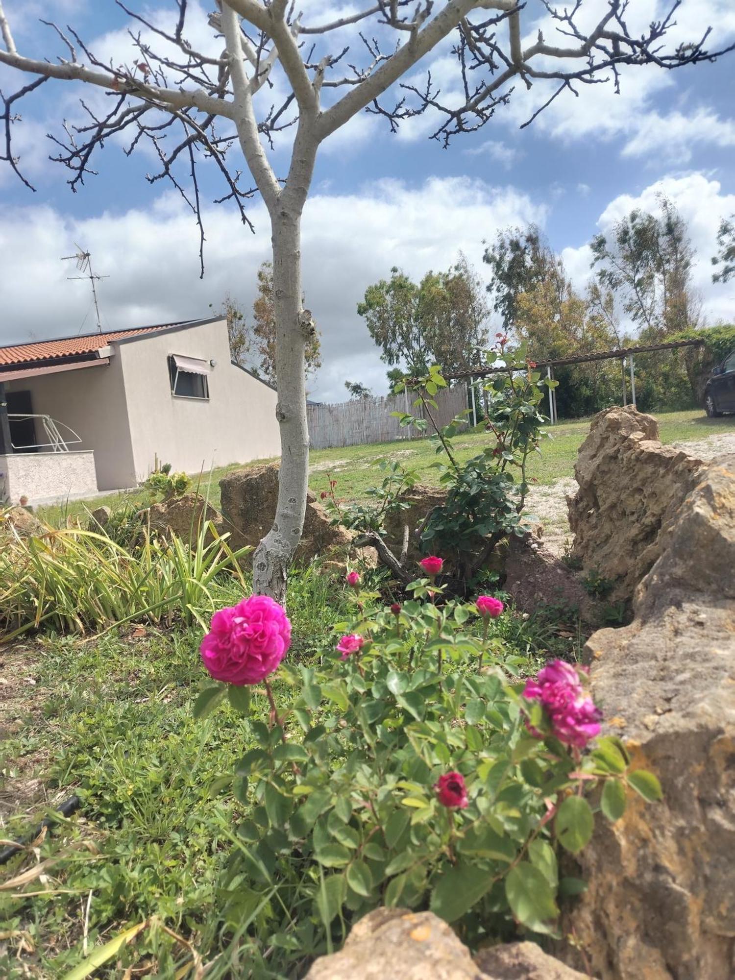אלגהרו Camera Serraona מראה חיצוני תמונה