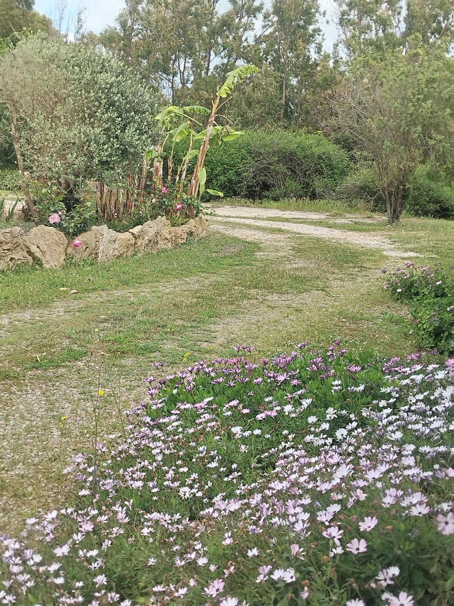 אלגהרו Camera Serraona מראה חיצוני תמונה